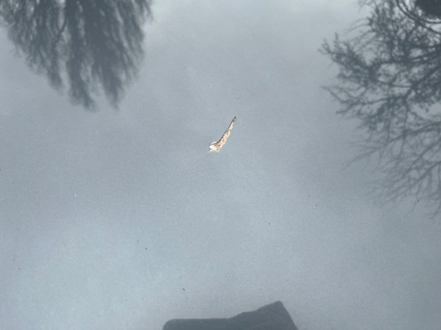 988385-49 Audi A4 Avant 1.8 T quattro -06