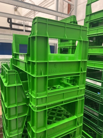 980882-2 Dairy trays approx. 600 pcs