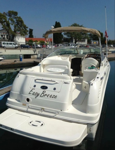 993525-10 Sea Ray 260 Sundancer - 2001 Mercruiser 5.7 incl Boat trailer