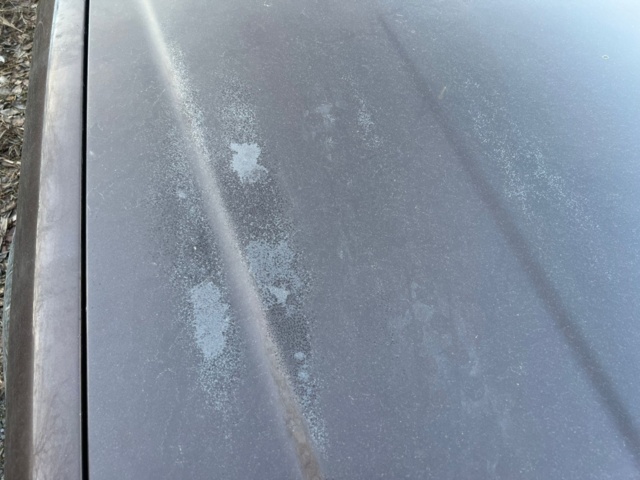 993526-18 Mercedes-Benz 380 SEC - 1983