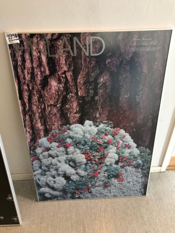 1004397-2 Kehystettyjä Suomi-luontojulisteita x 6 - Ei pohjahintaa