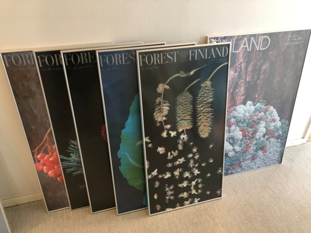 1004397-1 Kehystettyjä Suomi-luontojulisteita x 6 - Ei pohjahintaa
