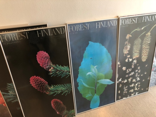 1004397-3 Kehystettyjä Suomi-luontojulisteita x 6 - Ei pohjahintaa