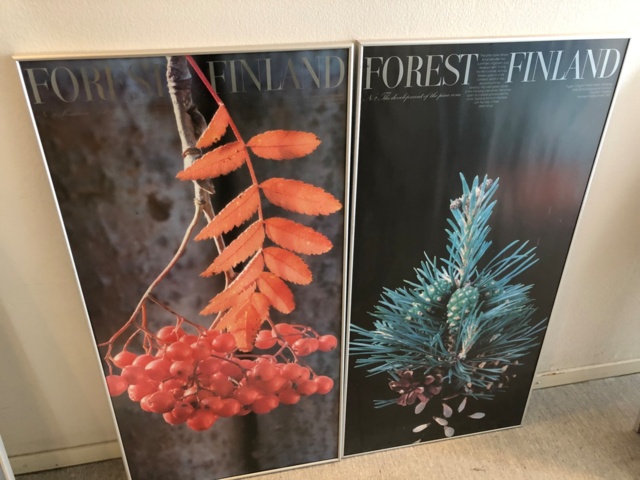 1004397-4 Kehystettyjä Suomi-luontojulisteita x 6 - Ei pohjahintaa