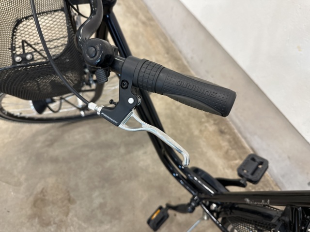 1002886-6 Women's bicycle Rosendal