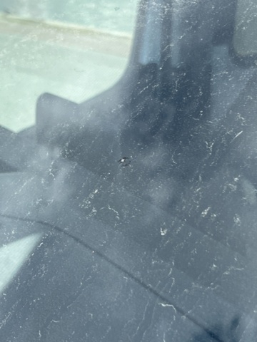 980434-16 Transit bus Ford Transit 310 Combi 2.0 EcoBlue - 2020