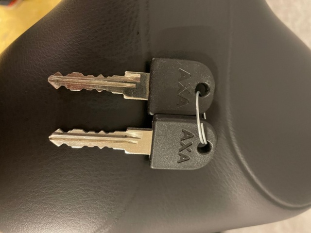 1008207-7 Electric bike - Crescent Elina