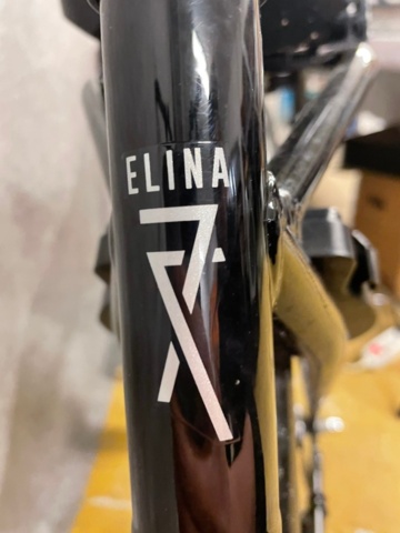 1008207-6 Electric bike - Crescent Elina