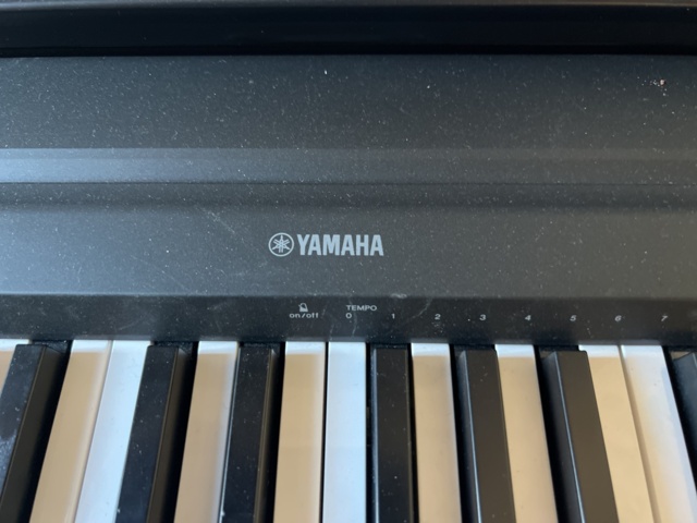 814990-2 Digital piano, Yamaha P-45