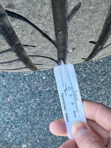 958412-13 BMW 530d Sedan - 2008