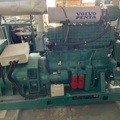 1012846-2 Volvo Penta Powerplant PWE 121 DG Stamford
