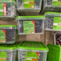 1014703-8 Screw assortment Essve