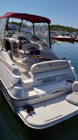 984298-6 Regal 242 Commodore