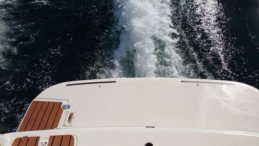 984298-11 Regal 242 Commodore