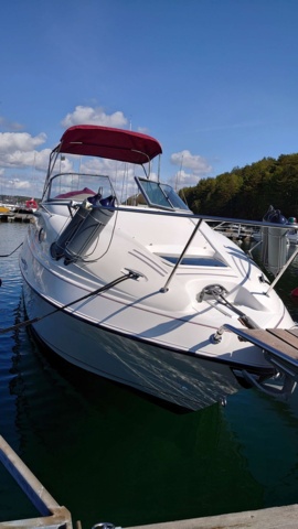 984298-5 Regal 242 Commodore