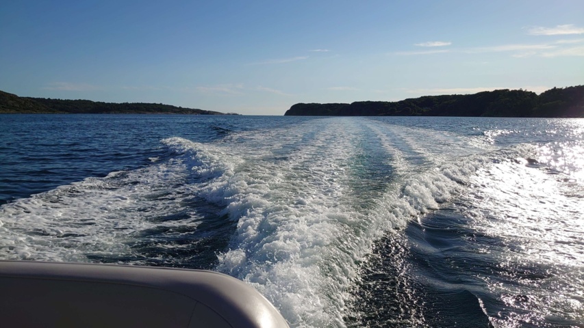 984298-20 Regal 242 Commodore