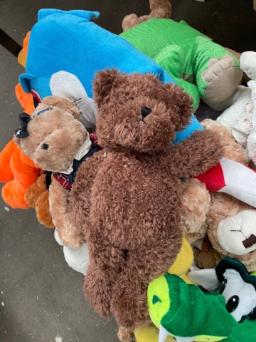 1015885-4 256 mixed teddy bears