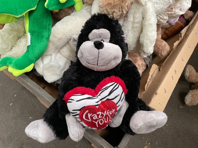 1015885-6 256 mixed teddy bears