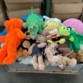 1015885-8 256 mixed teddy bears