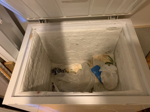 992674-4 Freezer box Derby Unique