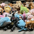1015885-1 256 mixed teddy bears