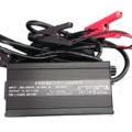 1020671-1 Battery charger F500 14.6V, 20 Ah for Lithium batteries