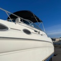 993525-41 Sea Ray 260 Sundancer - 2001 Mercruiser 5.7 incl Boat trailer