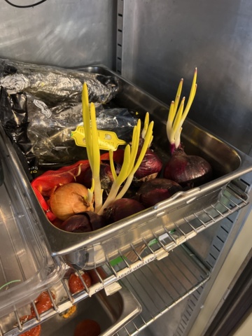 1022627-3 Stainless steel fridge