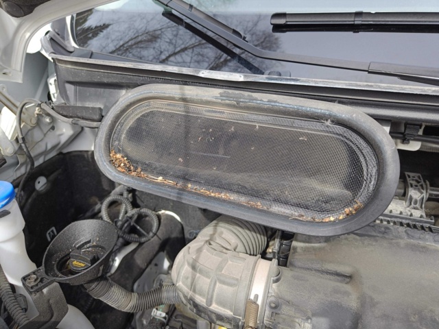 929115-70 Flakbil med Kran Ford Transit 2.0 EcoBlue -2020