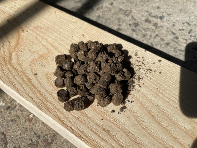 1027845-3 Sunflower pellets approx: 1245 kg