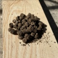 1027845-4 Sunflower pellets approx: 1245 kg