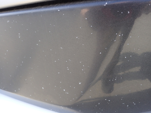 998554-52 Scania Interlink 12.7 Automatic, 450hp, 2017