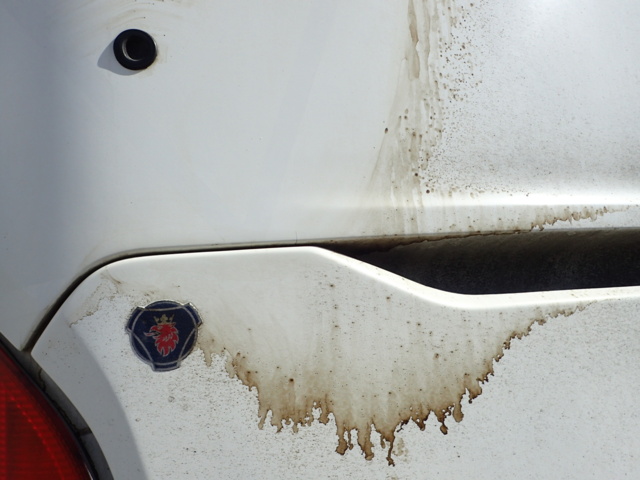 998554-90 Scania Interlink 12.7 Automatic, 450hp, 2017