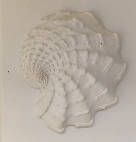 1012920-2 Snäckor, stendekor