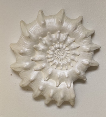 1012920-5 Snäckor, stendekor