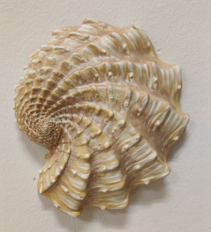 1012920-6 Snäckor, stendekor