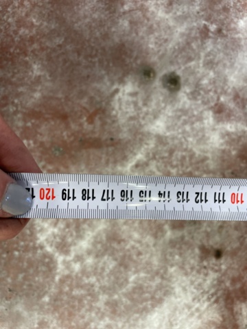 1023413-27 Picking press SMV FPF-2 -1974