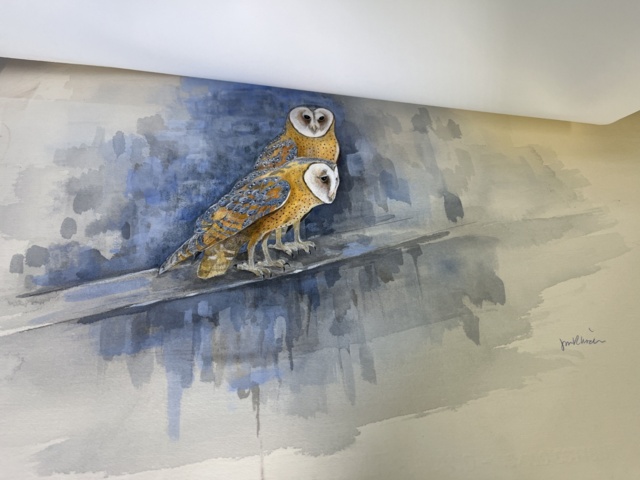 869100-20 Collection with various lithographs