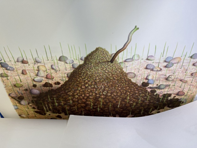 869100-21 Collection with various lithographs