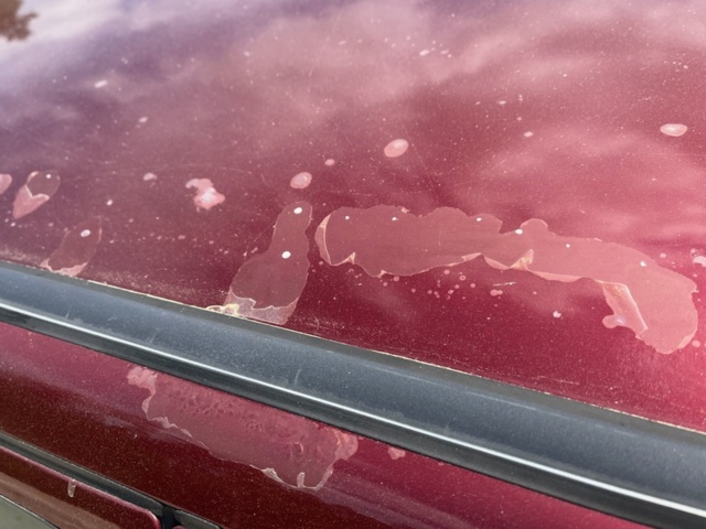 1040712-12 Volvo 850 Estate 2.5 10V Automatic, 144hp, 1995