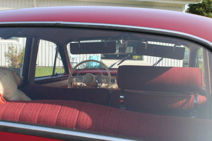 1040986-29 BMW 501/8 2.6 V8 - 1956