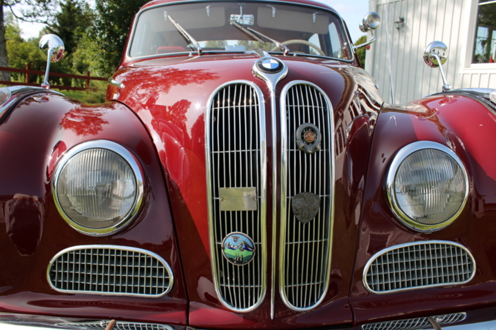 1040986-19 BMW 501/8 2.6 V8 - 1956