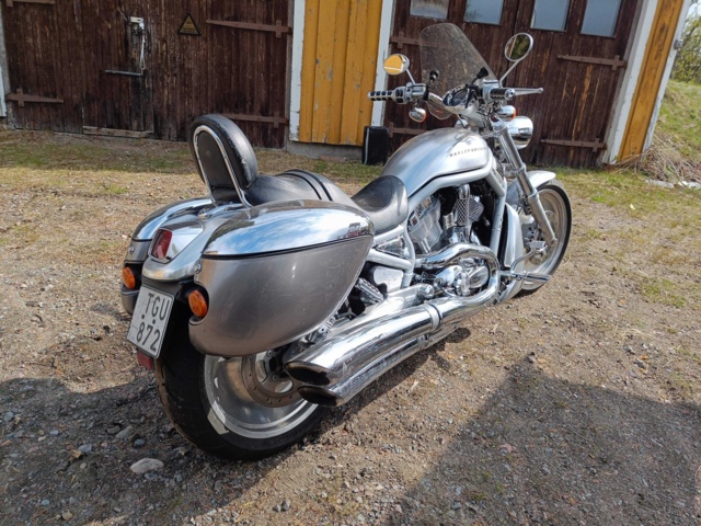 929258-3 Harley-Davidson V-Rod -2002