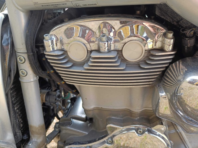 929258-22 Harley-Davidson V-Rod -2002