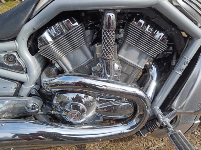 929258-42 Harley-Davidson V-Rod -2002