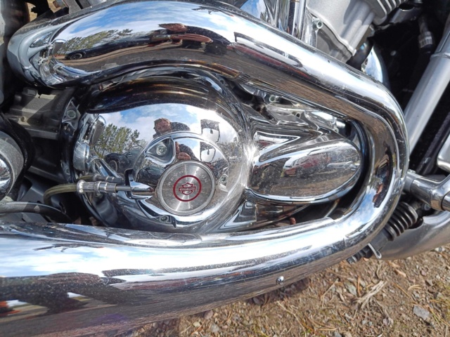 929258-44 Harley-Davidson V-Rod -2002