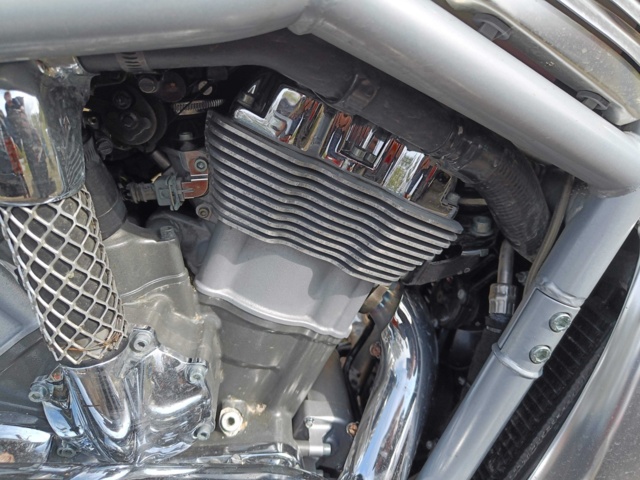 929258-48 Harley-Davidson V-Rod -2002