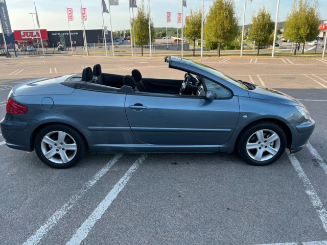 213406-6 Peugeot 307 CC 2.0 Manual, 136hp - 2004