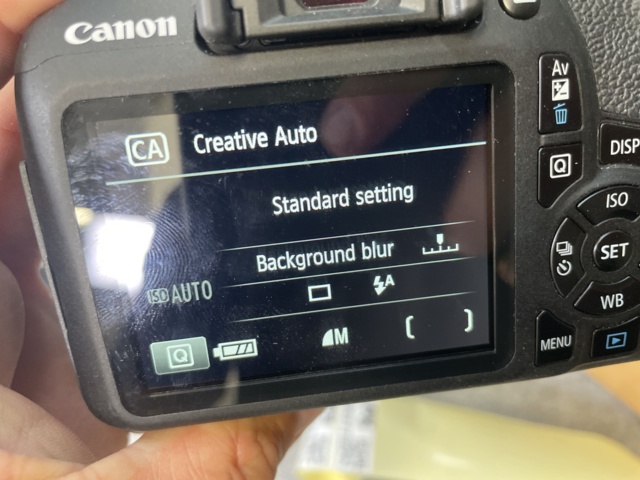 996373-13 System camera Canon EOS 2000D