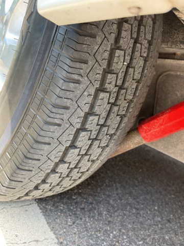 1013114-36 ADRIA Alpina 663 UK Nursery - 2013